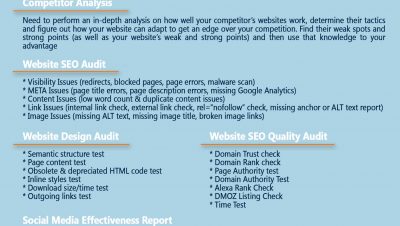 Comprehensive site audit by web agency Webcorelab